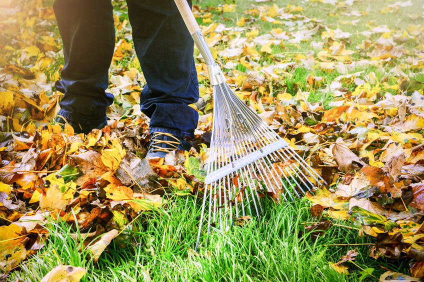 Taking the Pain Out of Raking